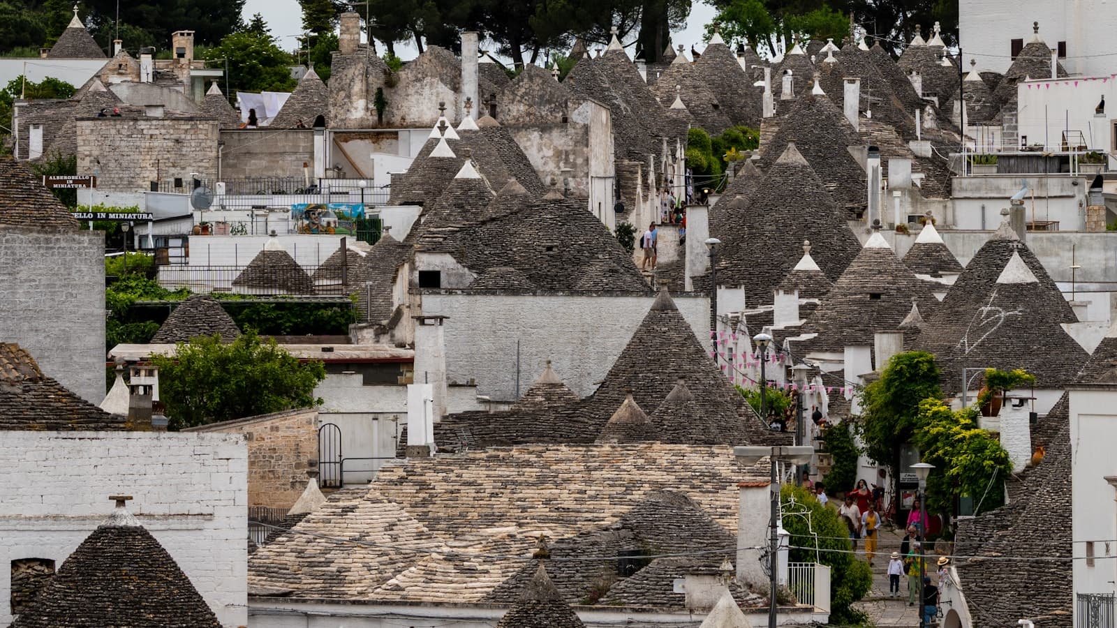 A trullo and olive grove in the Valle d'Itria at golden hour.
