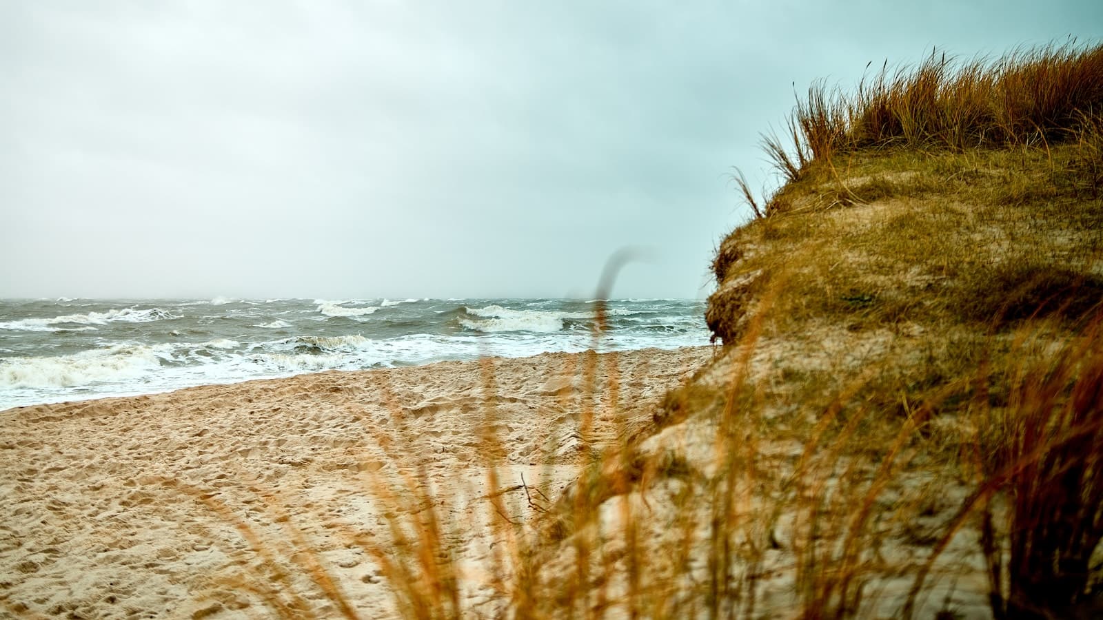 Thatched manor house behind the dunes of Sylt at late afternoon.